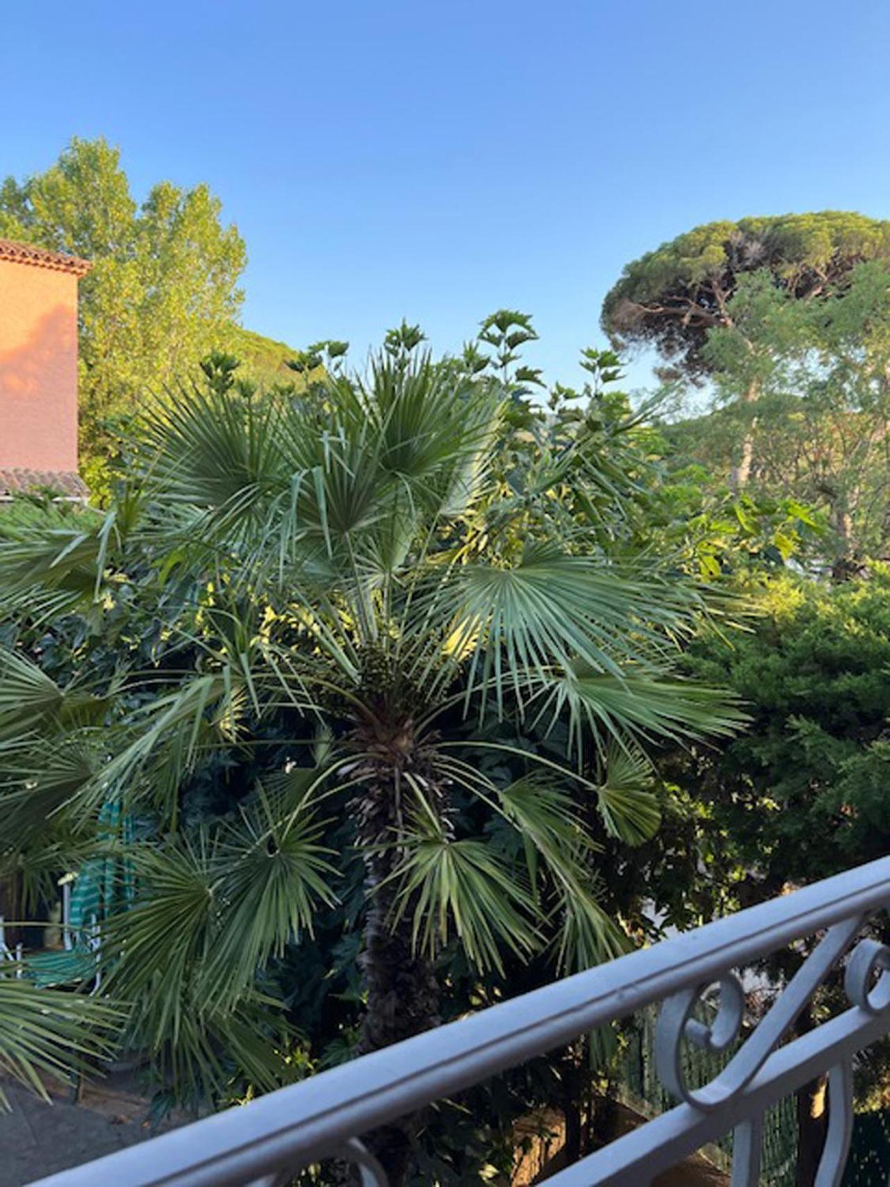 Superbe Appartement Terrasse Et Parking Prive サントロペ エクステリア 写真